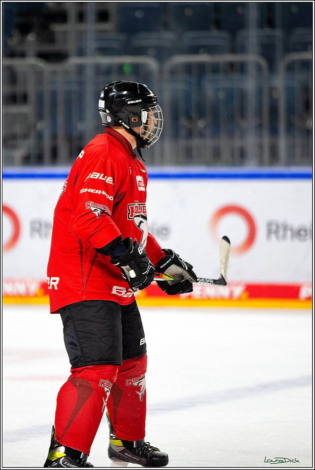 PENNY DEL; Koelner Haie- Red BUll Muenchen Sponsorenspiel; Koeln, 08.11.2022